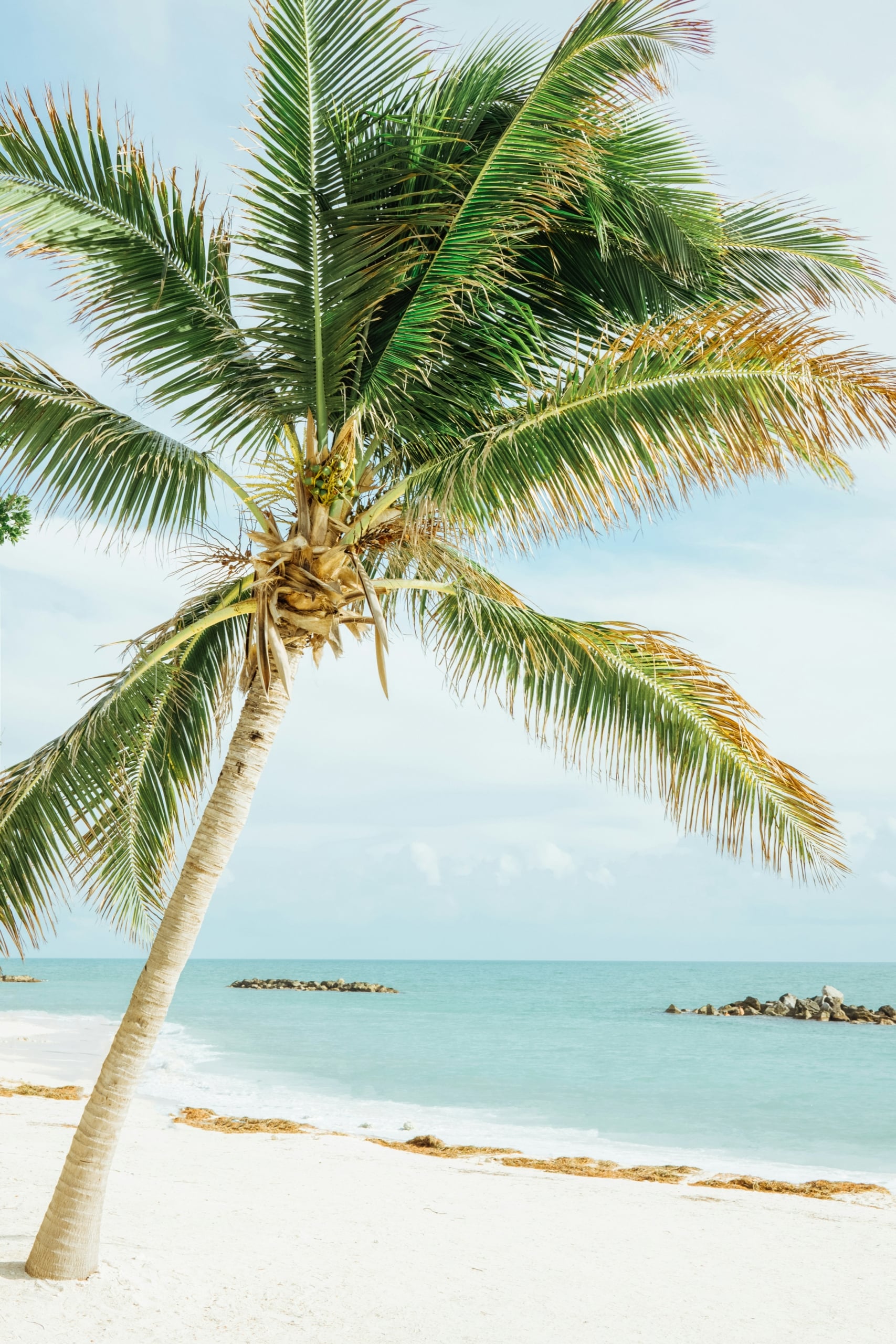 Moving to Cape Coral, FL: Everything You Need to Know in 2026