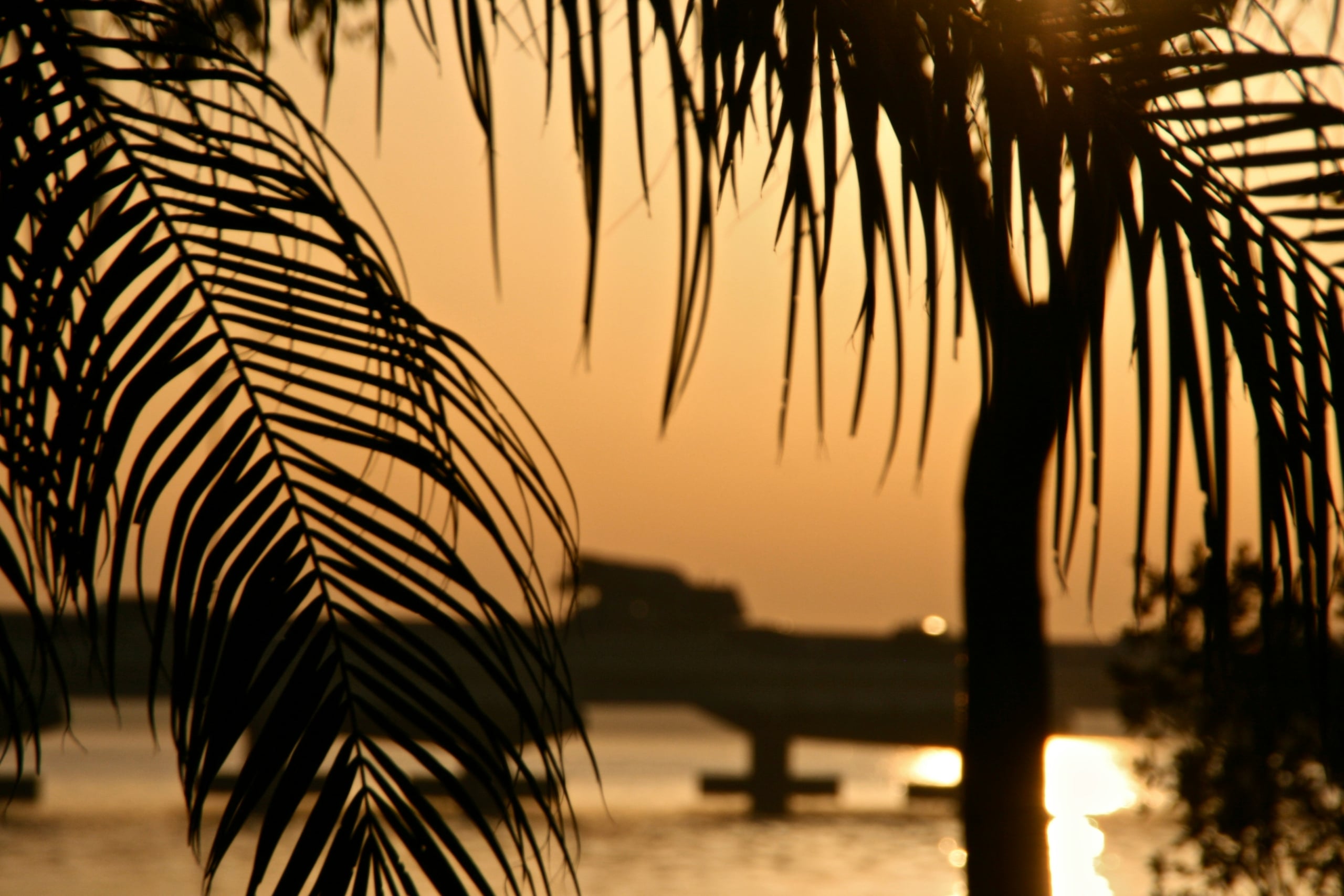 Best Neighborhoods in Cape Coral for Retirees