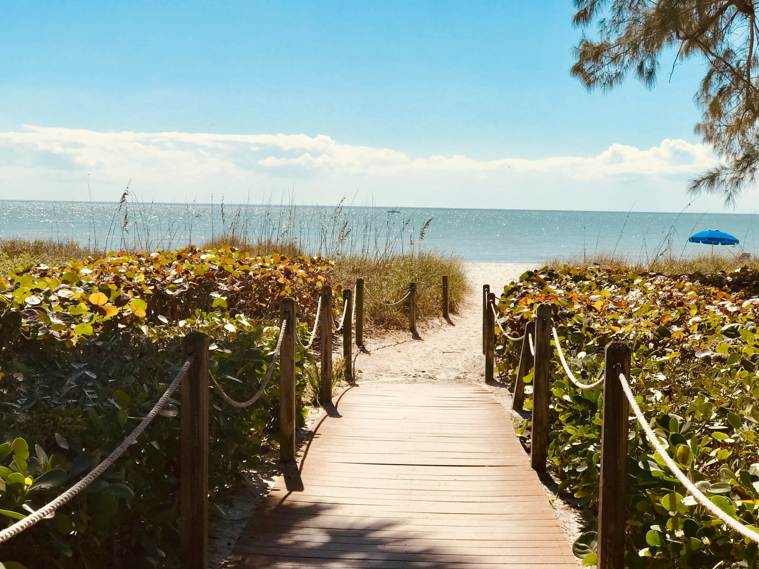 Sanibel Island vs Captiva Island: Which is Right for You?